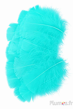 Pute - 6-8 cm - Lagune
